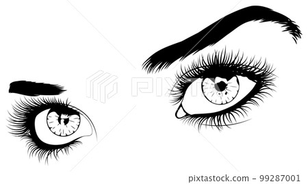 Black and white eyes and brows Black and white eyes and brows 99287001