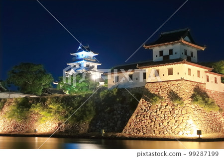 [Ehime Prefecture] Imabari Castle lit up in autumn (one of Japan's three major water castles) 99287199