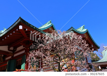 東京都江東區龜戶天神梅花節 東京都江東區龜戶天神梅花節 99287605