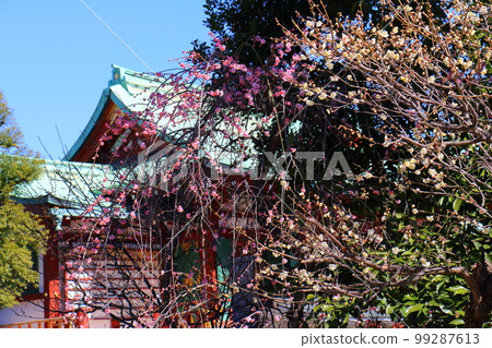 東京都江東區龜戶天神梅花節 東京都江東區龜戶天神梅花節 99287613