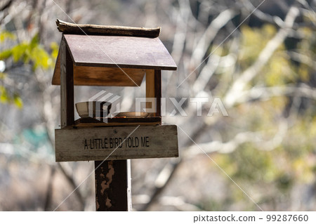 handmade bird feeder 99287660