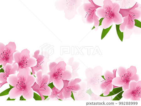 盛開的杜鵑花背景 盛開的杜鵑花背景 99288999
