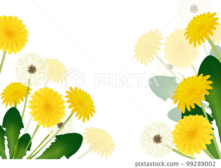蒲公英花背景 蒲公英花背景 99289002