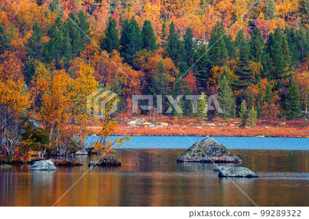 Autumn landscape. Colorful trees reflecting in calm water surface. 99289322