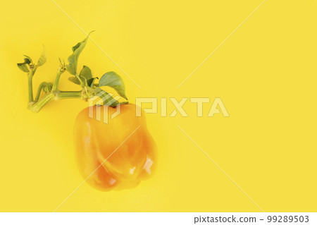 Pepper. Fresh early sweet pepper. Pepper vegetable on a bright background Pepper. Fresh early sweet pepper. Pepper vegetable on a bright background 99289503