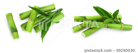 Green bamboo with leaves isolated on white background with full depth of field. Top view. Flat lay 99290030