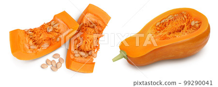 butternut squash or pumpkin piece isolated on white background with full depth of field. Top view. Flat lay butternut squash or pumpkin piece isolated on white background with full depth of field. Top view. Flat lay 99290041