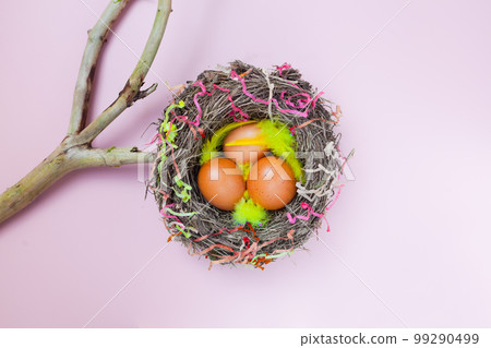 easter eggs in nest on pink background with branch. colourful flat lay with feathers 99290499