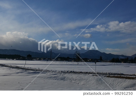 Photo: The migratory site of the swans in the winter sunlight The migratory site of the swans in Shiwa, Iwate Prefecture Photo: The migratory site of the swans in the winter sunlight The migratory site of the swans in Shiwa, Iwate Prefecture 99291250