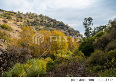 The Yehudiya Forest Reserve is a nature reserve in the central Golan Heights. The Yehudiya Forest Reserve is a nature reserve in the central Golan Heights. 99291342