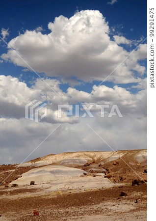 Desolate Landscape Petrified Forest Arizona 99291475