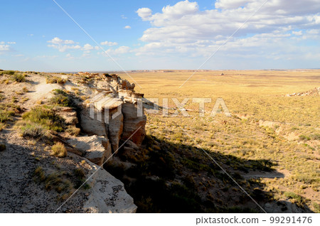 Desolate Landscape Petrified Forest Arizona 99291476