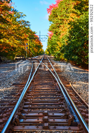 On empty train tracks leading into forest during fall foliage On empty train tracks leading into forest during fall foliage 99292622