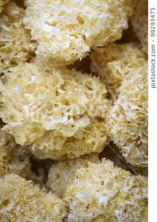 Sparassis mushroom. Dried sparassis mushrooms food background. 99293475