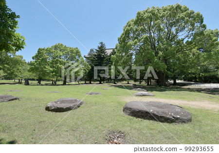 Todaiji Auditorium Ruins Nara City, Nara Prefecture Todaiji Auditorium Ruins Nara City, Nara Prefecture 99293655