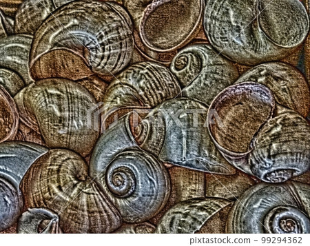 Moon shells Moon shells 99294362