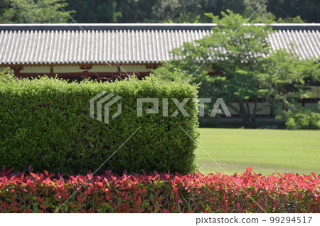 Todaiji Temple East Corridor and Hedges of the Great Buddha Hall Nara City, Nara Prefecture Todaiji Temple East Corridor and Hedges of the Great Buddha Hall Nara City, Nara Prefecture 99294517