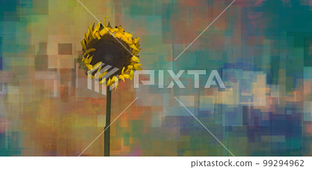 Sunflower 99294962