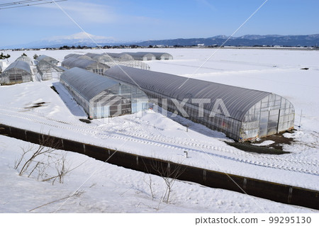 Vinyl greenhouse in heavy snowfall region Vinyl greenhouse in heavy snowfall region 99295130