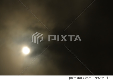 北斗市白州町 12.3歲二月 99295918