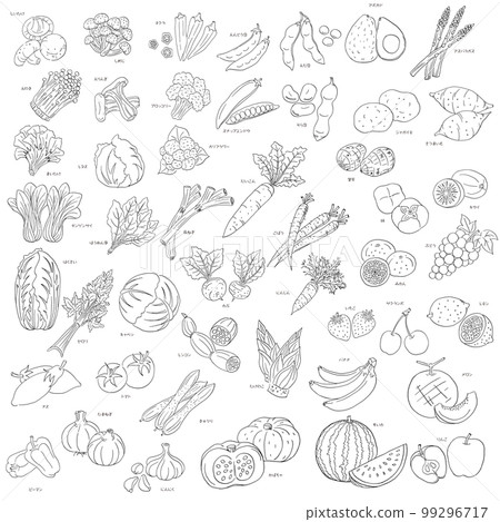 Ingredients-Vegetables and Fruits/Line Drawing- 99296717