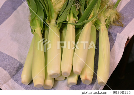 Freshly picked young corn Freshly picked young corn 99298135