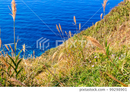 Shakotan Peninsula (September, Hokkaido, sunny) Shakotan Peninsula (September, Hokkaido, sunny) 99298901