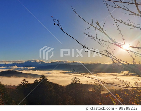 清晨的雲海 99299212