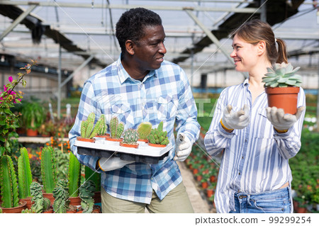 Man and woman gardeners talking in greenhouse Man and woman gardeners talking in greenhouse 99299254