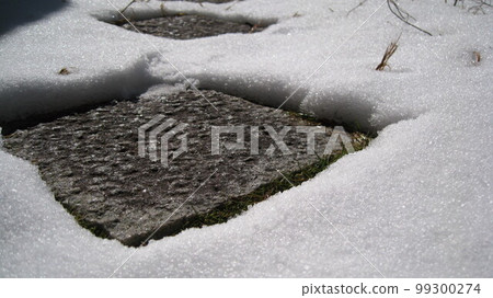 The arrival of spring in the snowy country Granny snow 99300274
