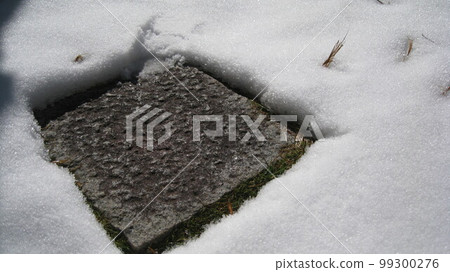 The arrival of spring in the snowy country Granny snow 99300276