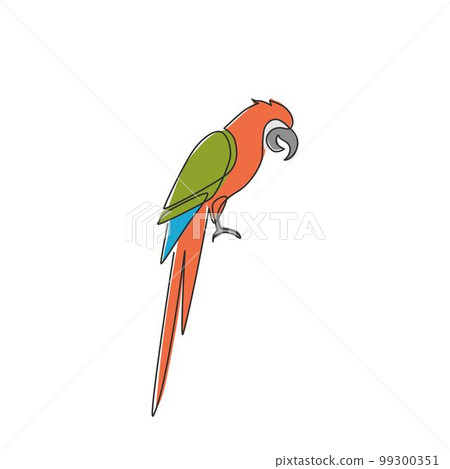 Single continuous line drawing of cute adorable parrot bird with long tail for logo identity. Wing feather animal mascot concept for national zoo icon. One line draw graphic design vector illustration 99300351