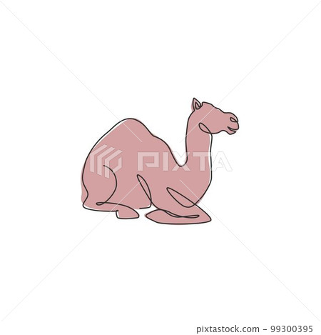Single continuous line drawing of strong desert Arabic camel sitting for logo identity. Cute dromedary animal concept for national zoo icon. Dynamic one line draw design graphic vector illustration 99300395