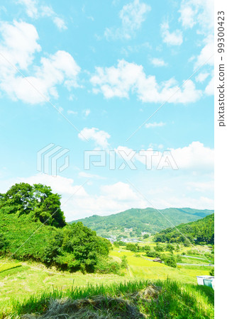 Idyllic rural scenery Terraced rice fields 99300423