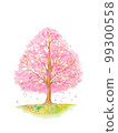 Cherry tree watercolor illustration 99300558