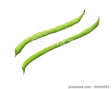 Illustration material of two realistic green beans (watercolor) 99300563