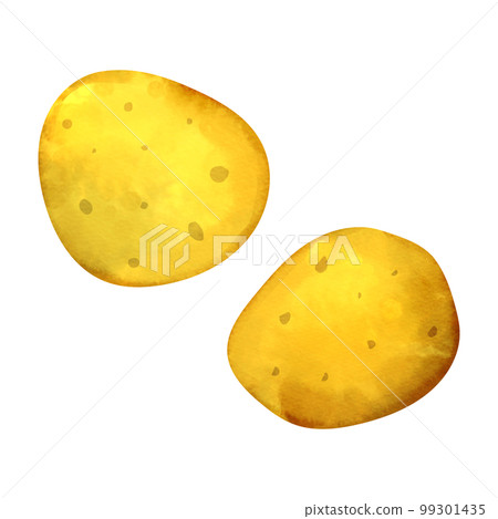馬鈴薯水彩插圖 馬鈴薯水彩插圖 99301435