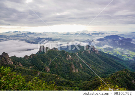 月出山靈巖邑靈巖郡全南道 99301792