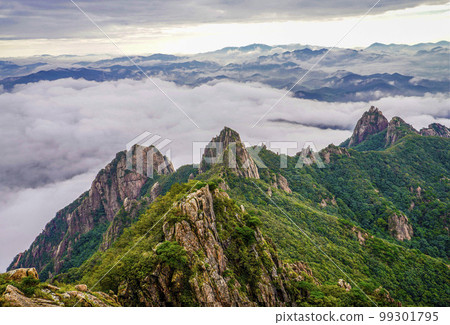 月出山靈巖邑靈巖郡全南道 月出山靈巖邑靈巖郡全南道 99301795