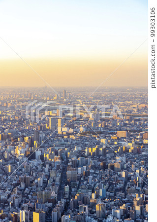 從東京晴空塔看東京夜景 99303106