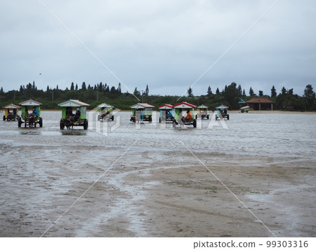 布法羅汽車 99303316