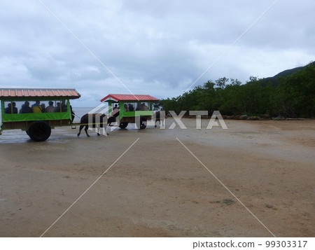 布法羅汽車 99303317