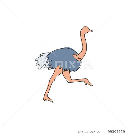 One single line drawing of giant running ostrich for logo identity. Flightless bird mascot concept for safari park icon. Modern continuous line draw design vector illustration graphic 99303659