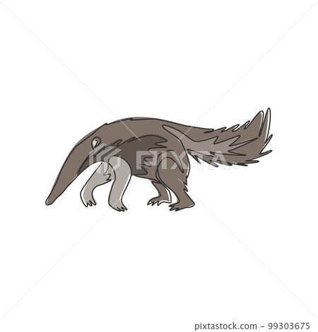 Single continuous line drawing of large anteater for logo identity. Insectivorous animal mascot concept for national conservation park icon. Modern one line draw graphic design vector illustration 99303675