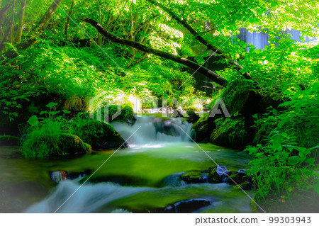 A clear stream flowing through Arata (Oyamaki Yazawa mountain stream) A clear stream flowing through Arata (Oyamaki Yazawa mountain stream) 99303943