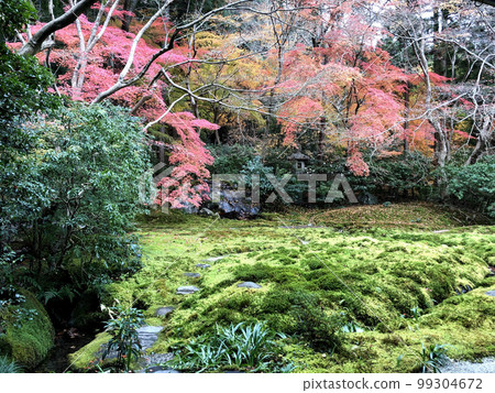 Rurikoin garden Rurikoin garden 99304672