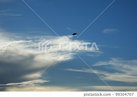 夏日午後的天空放著黑鳶・220727pm 99304707