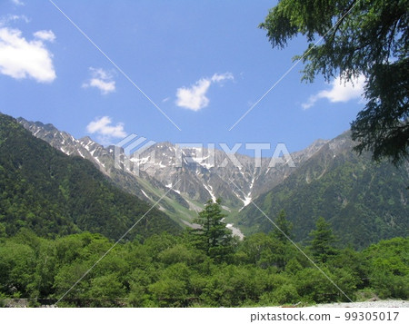 穗高山脈和新鮮的綠色森林 99305017