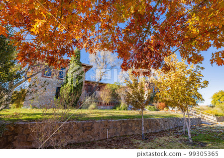 Sunny exterior view of the Centennial Museum of The University of Texas at El Paso Sunny exterior view of the Centennial Museum of The University of Texas at El Paso 99305365
