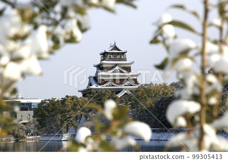 Hiroshima Castle 99305413